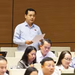 Đại biểu Quốc hội Thành phố Hồ Chí Minh Lê Văn Đông phát biểu. (Ảnh: Doãn Tấn/TTXVN)