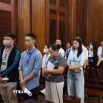 Các bị cáo tại phiên tòa. (Ảnh: Hồng Đạt/TTXVN)