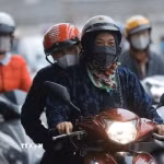 Ảnh minh họa. (Ảnh: Minh Quyết/TTXVN)