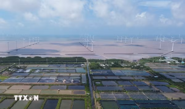 Cà Mau khơi thông nguồn lực, tăng tốc cho mục tiêu tăng trưởng 10%