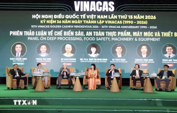 Ngành điều Việt Nam tìm động lực tăng trưởng mới từ chế biến sâu