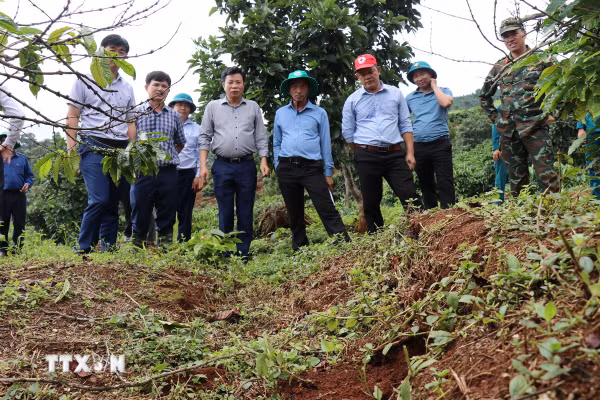 Lâm Đồng tập trung bảo đảm an toàn cho người dân vùng sụt lún Đắk Snao