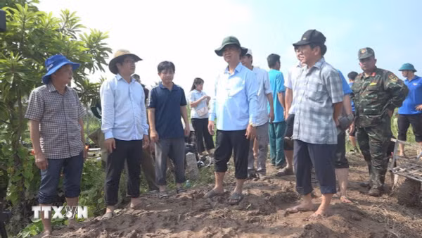 Vĩnh Long khẩn trương khắc phục sạt lở đê bao cồn Cái Gà