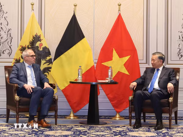 Tổng Bí thư, Chủ tịch nước Tô Lâm tiếp Bộ trưởng, Thủ hiến vùng Flanders và Bộ trưởng, Thủ hiến vùng Wallonie
