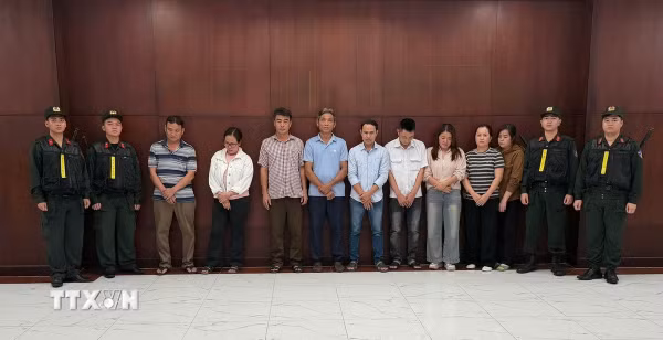 Triệt phá đường dây đưa hơn 10.000 tấn heo dùng chất tạo nạc Salbutamol ra thị trường