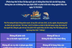Tập trung thực hiện ‘5 không’ trong chống khai thác IUU 