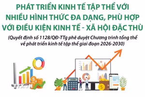 Phát triển kinh tế tập thể với nhiều hình thức đa dạn 