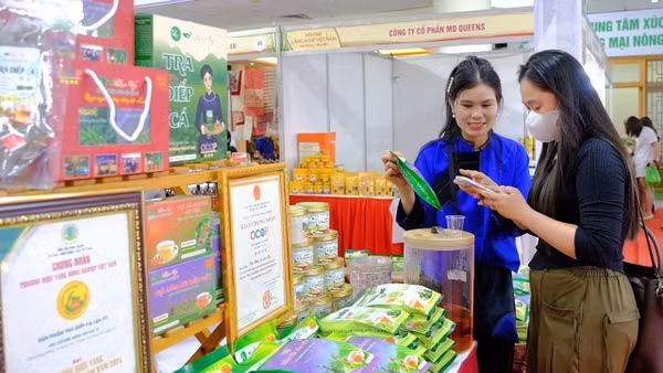Trải nghiệm tinh hoa sản vật ba miền tại Hội chợ Làng nghề năm 2026 