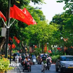 Dọc những tuyến phố trung tâm Hà Nội, cờ đỏ sao vàng rực rỡ giữa những vòm cây xanh, hòa cùng nhịp sống thường ngày của người dân trong sáng Quốc khánh 2/9, tạo nên một diện mạo Thủ đô vừa bình yên, vừa trang trọng trong ngày kỷ niệm 81 năm Quốc khánh. (Ảnh: Phạm Tuấn Anh/TTXVN)