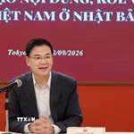 Đại sứ Phạm Quang Hiệu nhấn mạnh vai trò của các KOL trong kết nối cộng đồng và xây dựng cầu nối hữu nghị Việt Nam-Nhật Bản. (Ảnh: Bùi Hà/TTXVN)