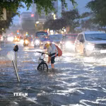 Triều cường gây ngập nhiều đường phố ở Cần Thơ. (Ảnh: Thanh Liêm/TTXVN)