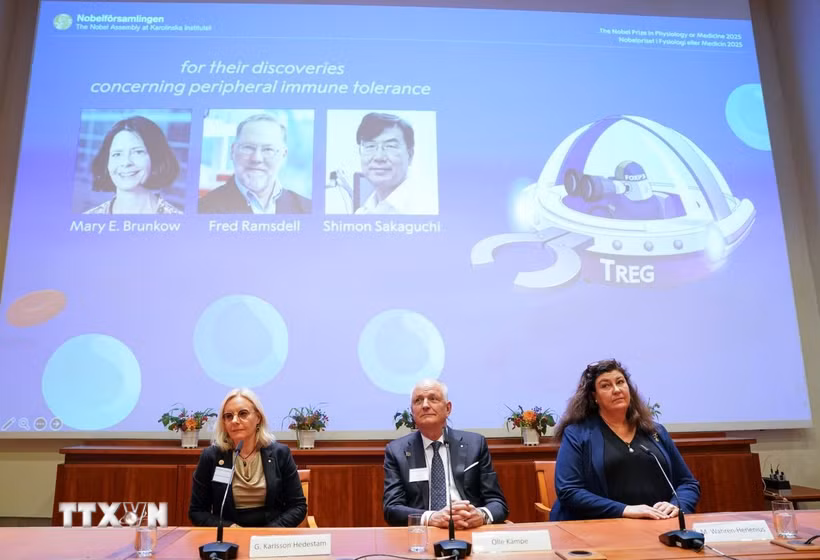 Chân dung các nhà khoa học đoạt giải Nobel Y sinh năm 2025 (từ trái sang): Mary E Brunkow, Fred Ramsdell và Shimon Sakaguchi. (Ảnh: THX/TTXVN)