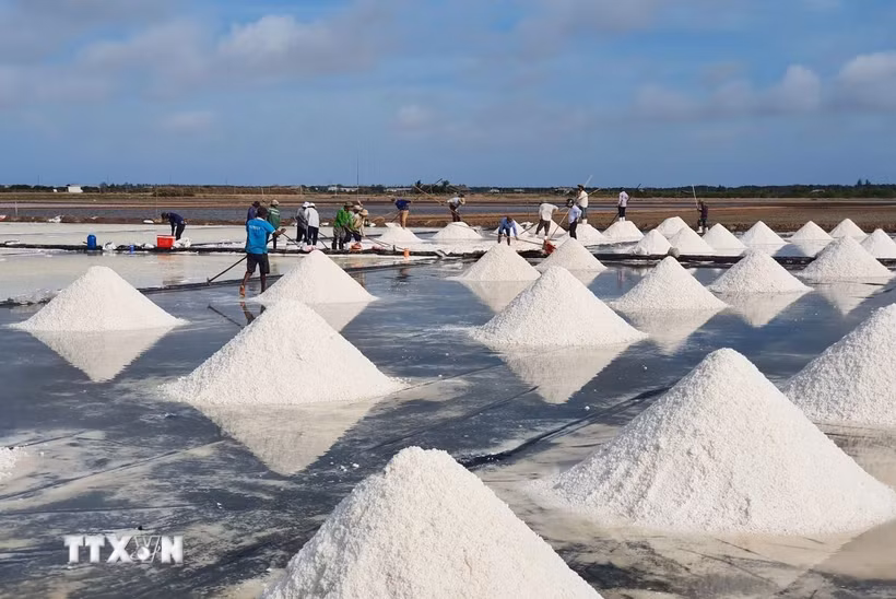 Bạc Liêu là một trong những địa phương có diện tích sản xuất muối lớn của cả nước. (Ảnh: TTXVN phát)