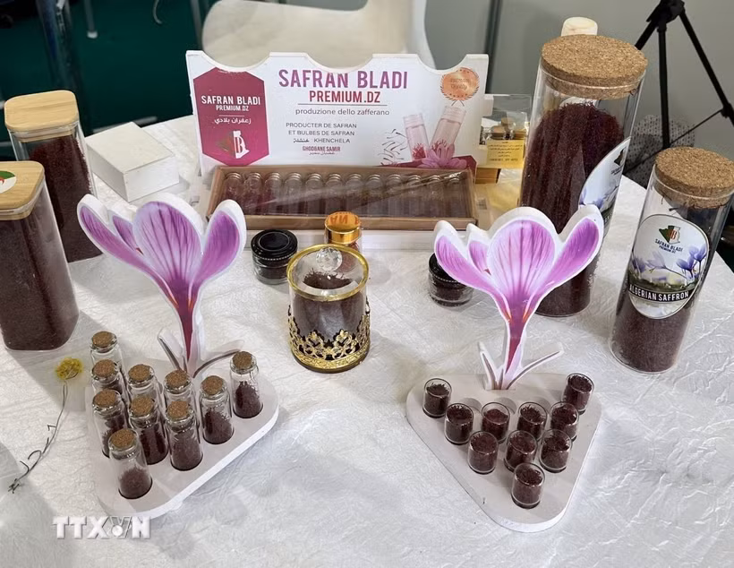 Giới thiệu sản phẩm nghệ tây của Algeria tại Hội chợ quốc tế Du lịch và Lữ hành Algeria 2026. (Ảnh: Mạnh Hùng/TTXVN)