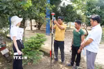 Cán bộ địa chính xã đo đạc, xác định ranh giới thửa đất phục vụ công tác cấp Giấy chứng nhận quyền sử dụng đất lần đầu. (Ảnh: Đậu Tất Thành/TTXVN)