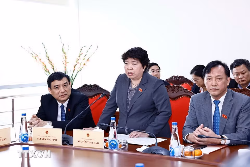 Chủ nhiệm Ủy ban Xã hội của Quốc hội Nguyễn Thúy Anh phát biểu. (Ảnh: Doãn Tấn/TTXVN)