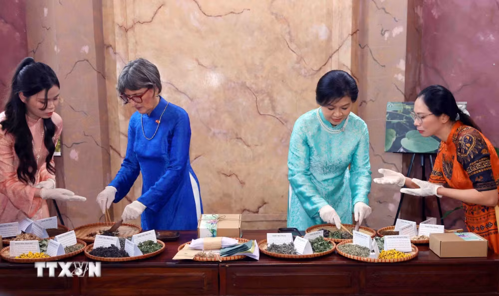 ttxvn_phu-nhan-tong-bi-thu-chu-tich-nuoc-va-phu-nhan-tong-thong-thuy-si-tham-quan-truong-dai-hoc-duoc-ha-noi-8.jpg