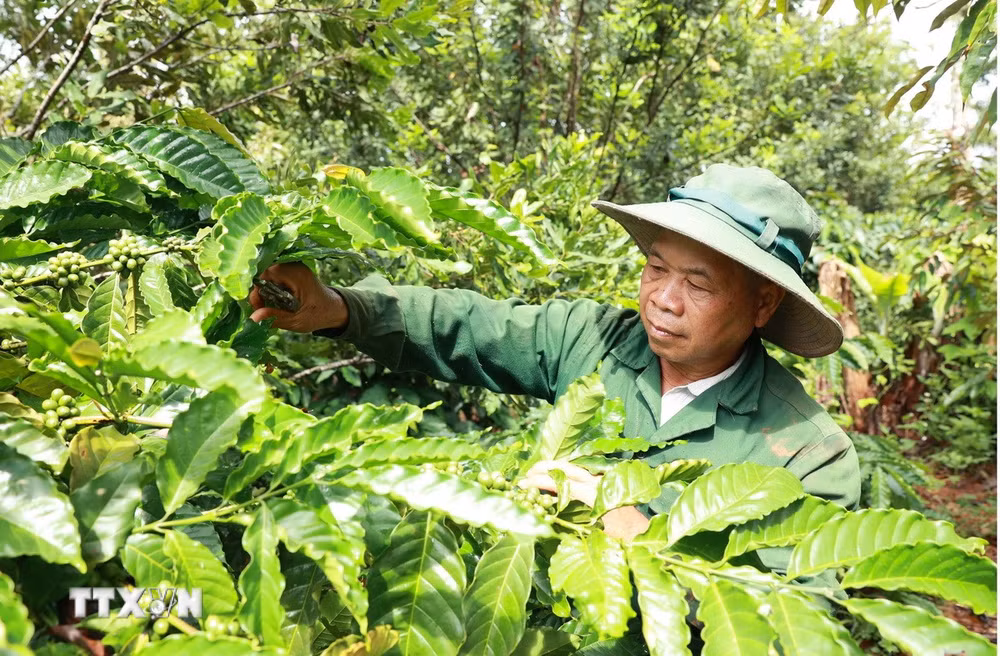 ttxvn-vung-bien-quang-truc-2.jpg