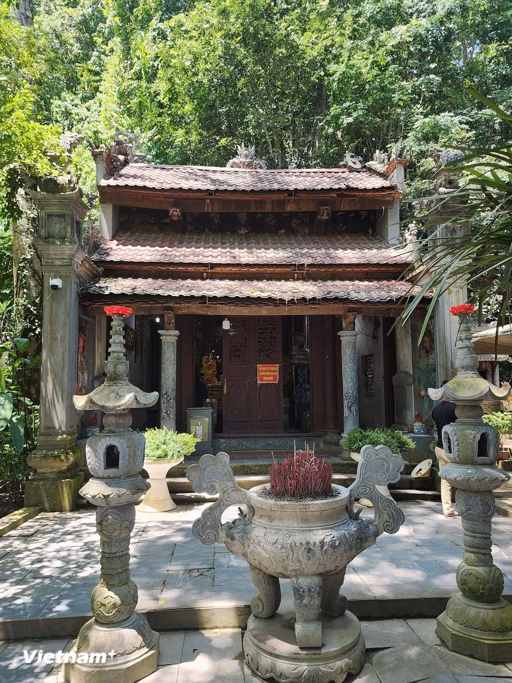 vnp_den-ngoc.jpg