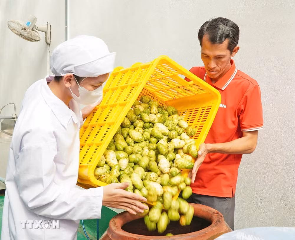 ttxvn-khuu-van-chuong.jpg