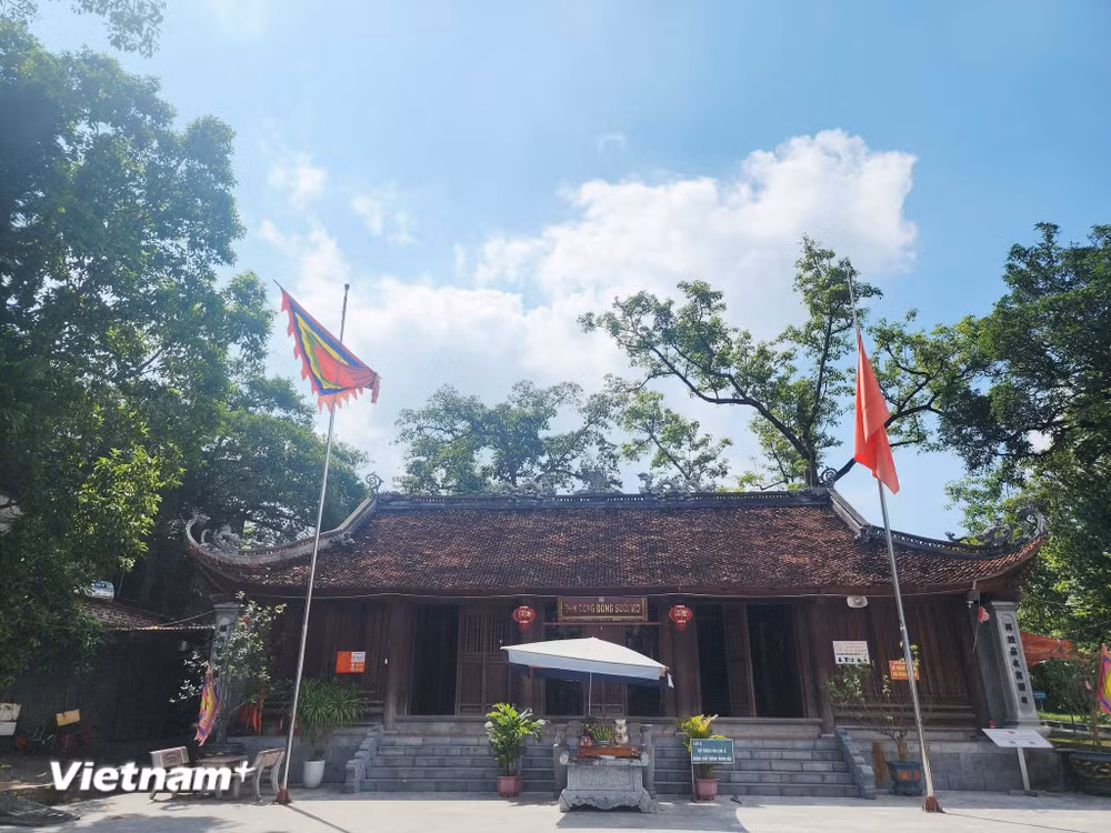vnp_den-suoi-mo.jpg