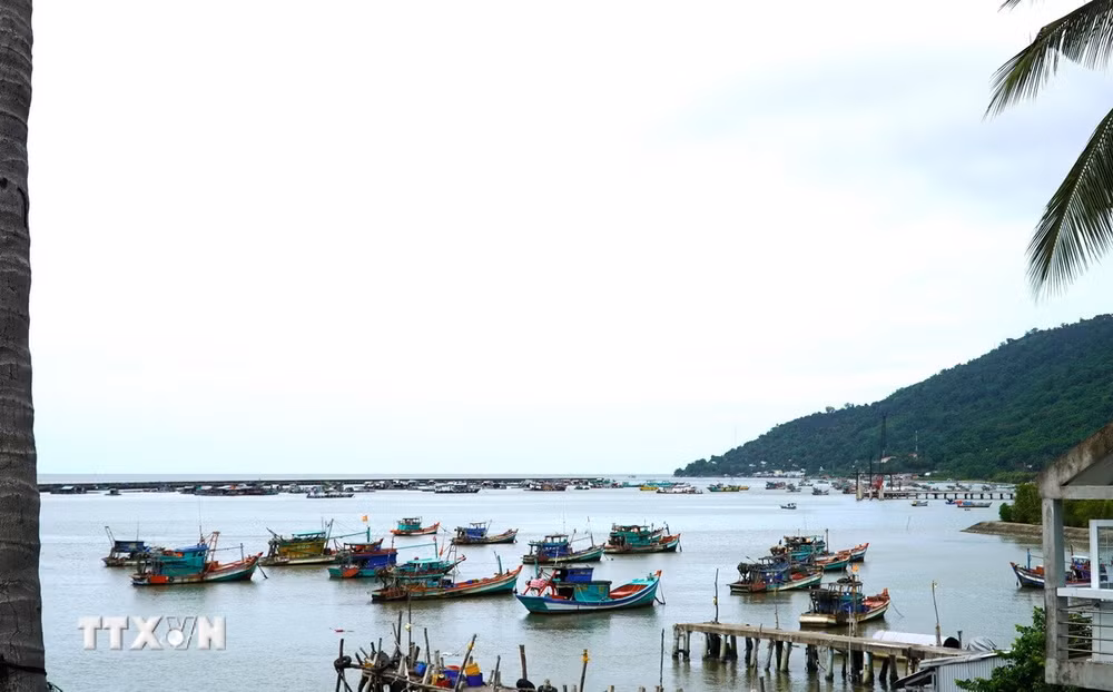 ttxvn_an-giang-ca-long-be.jpg