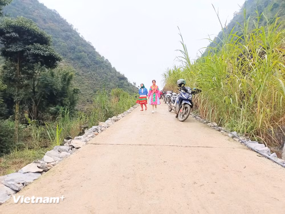 vnp-tuyen-quang-2-cap-3.jpg