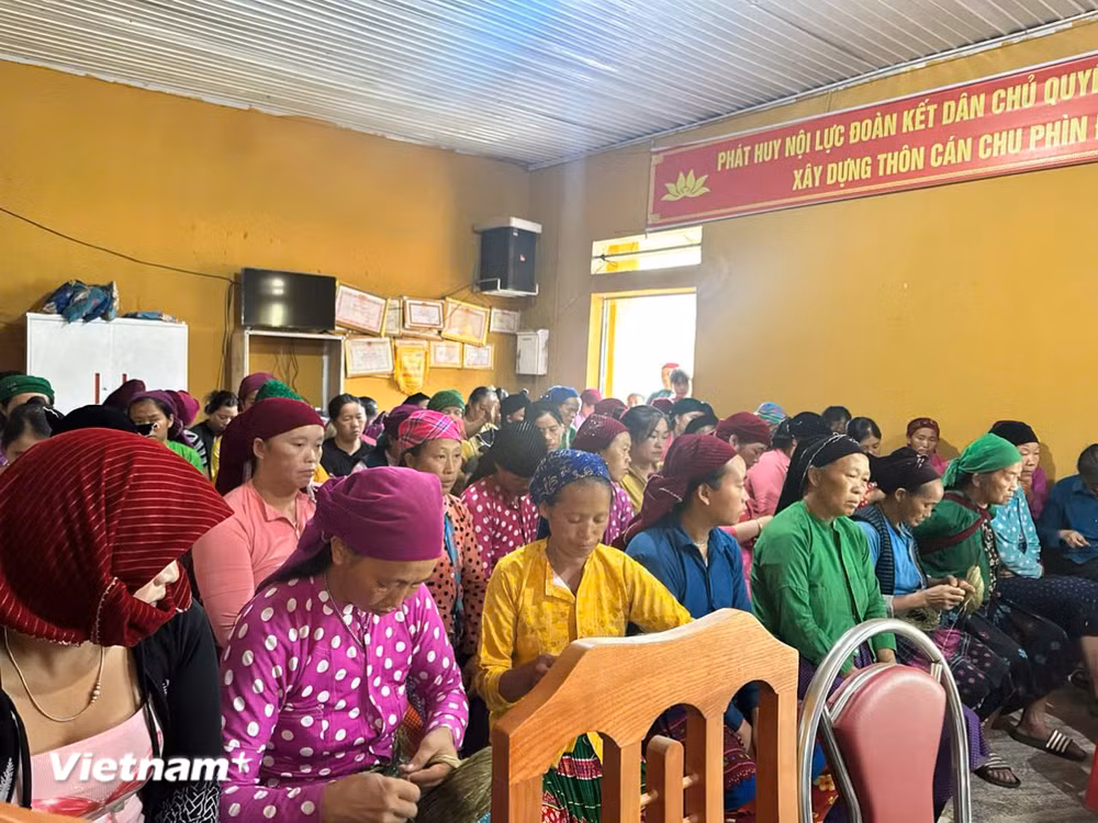 vnp-tuyen-quang-2-cap-4.jpg