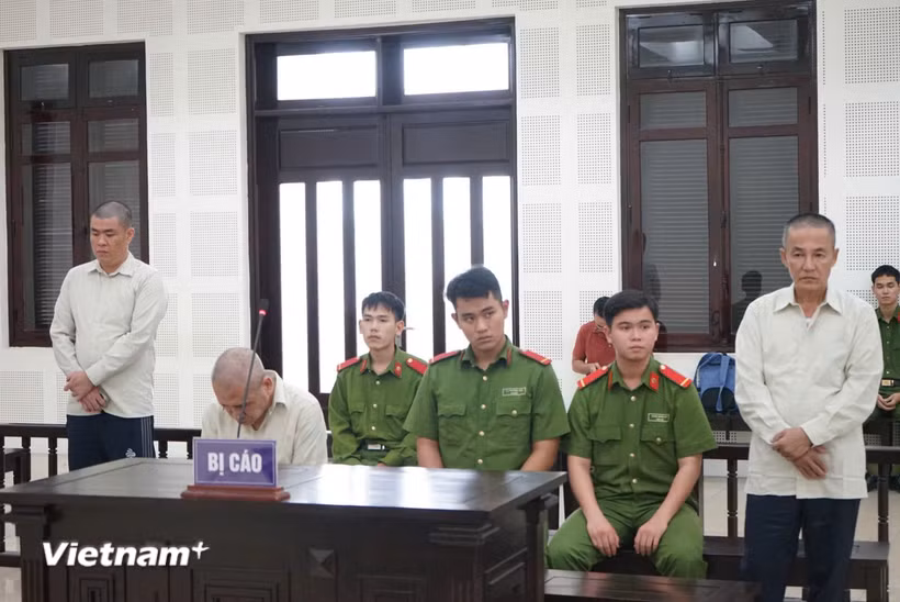 Các bị cáo tại phiên tòa. (Ảnh: PV/Vietnam+)