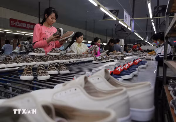 Ngành da giày Việt Nam chinh phục thị trường nội địa quy mô khoảng 1,5 tỷ USD 