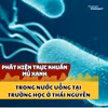 Phát hiện trực khuẩn mủ xanh trong nước uống tại trường học ở Thái Nguyên 