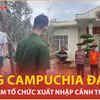 Bắt nghi phạm đưa người xuất cảnh trái phép sang Campuchia đá gà 