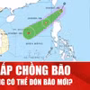Áp thấp nhiệt đới mới xuất hiện sau khi bão Fengshen vừa tan