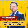 Viện kiểm sát truy tố Shark Bình về tội rửa tiền 320 tỷ đồng 