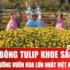 Say đắm vườn hoa Tulip lớn nhất Việt Nam tại Bà Nà Hills 
